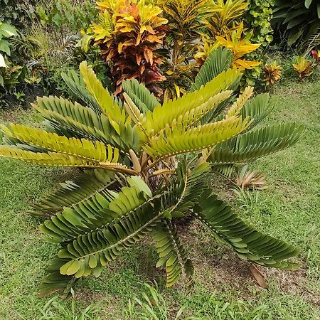 Bencastle Villa Gros Islet Ngoại thất bức ảnh