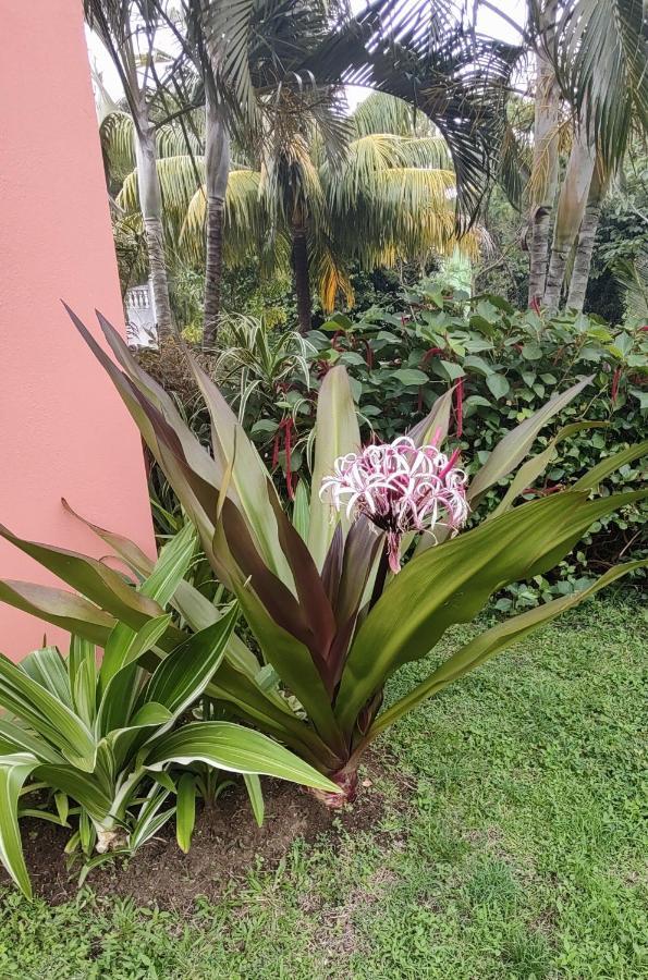 Bencastle Villa Gros Islet Ngoại thất bức ảnh